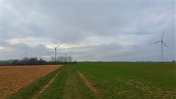 �oliennes dans la plaine de Gouchaupr� - Petit-Caux